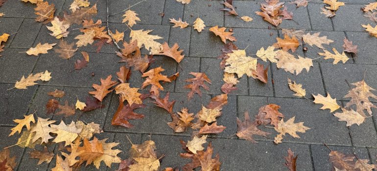 2025/11/01 Discover UBC Sauder