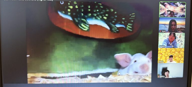 #57 Weekly Reading Session – 2026/10/10 Les Trois Petits Cochons